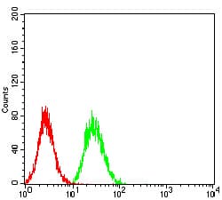 BUB1 Antibody (clone 1A11C7)