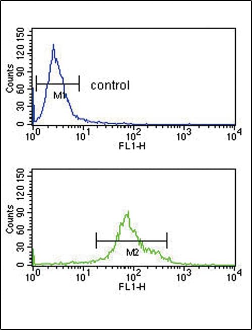 HSD17B3 Antibody (aa89-118)