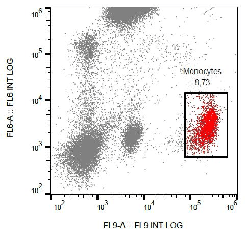 Monoclonal Mouse anti-Human CD53 Antibody (clone MEM-53, PE, IHC, WB)