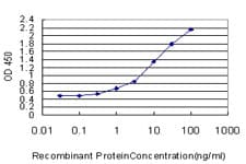 TBX2 Antibody (clone 7G5)