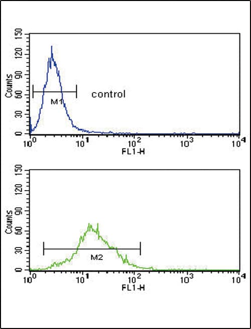 SREBF1 / SREBP-1 Antibody (aa349-378)