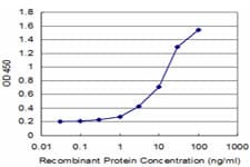 Monoclonal Mouse anti-Human NELL1 Antibody (clone 3F1)