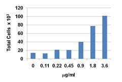 Human SDF1 / CXCL12 Protein (Recombinant)