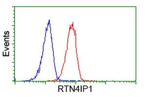 RTN4IP1 / NIMP Antibody (clone OTI1E1, Carrier-free)
