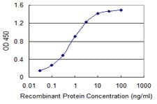 Monoclonal Mouse anti-Human RNF25 Antibody (clone 1D10, IHC, WB)