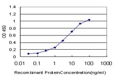 IHC-plus™ HMG2 / HMGB2 Antibody (clone 3C7)
