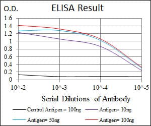 IHC-plus™ HSP90AA1 / Hsp90 Alpha A1 Antibody (aa275-484, clone 5G5)