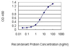 Monoclonal Mouse anti-Human RFX5 Antibody (clone 3B8, WB)