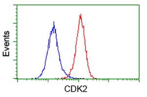 CDK2 Antibody (clone OTI2F10, Carrier-free)