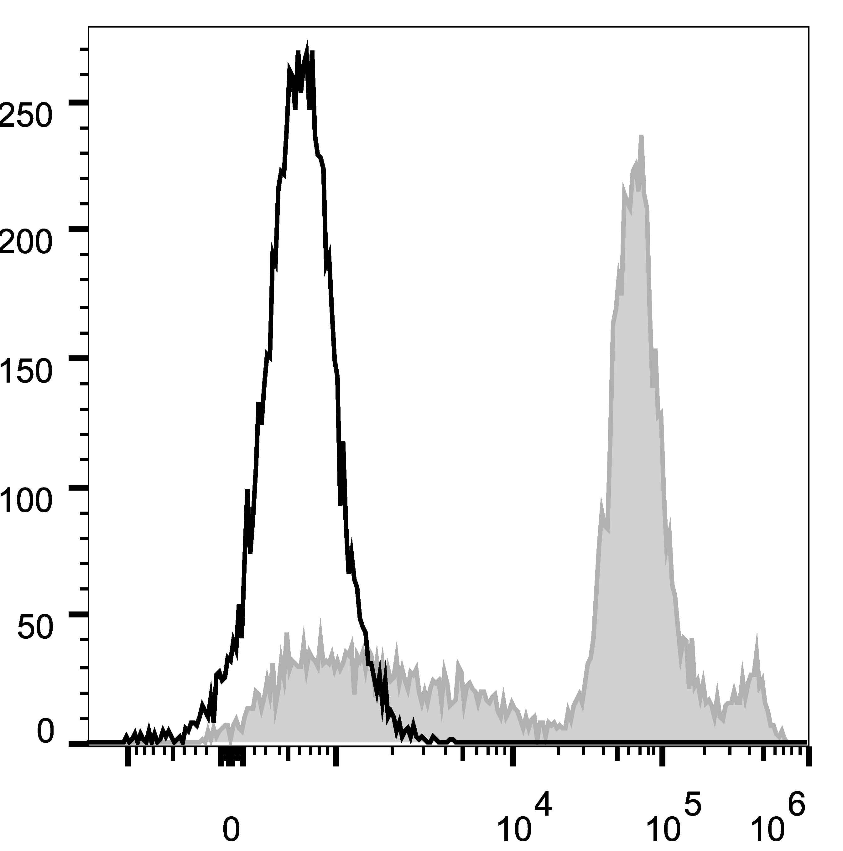 Ly6c1 Antibody (clone Monts 1, AF488)