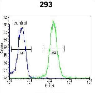 ZBTB10 Antibody (aa553-582)