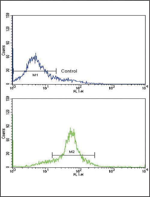 PathPlus™ GCG / Glucagon Antibody (aa119-148)