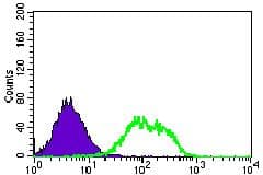 GUCY1A1 / GUCY1A3 Antibody (Amino Acid: 22-214, clone 3G6B2)