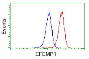 IHC-plus™ Fibulin-3 / EFEMP1 Antibody (clone 1D9)