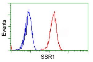 SSR1 Antibody (clone OTI 4C9)