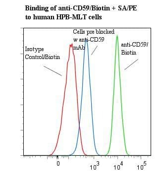 CD59 Antibody (clone BRA-10G, Biotin)