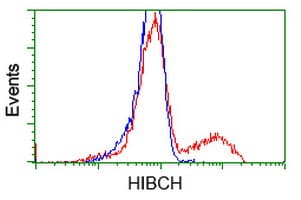 HIBCH Antibody (clone OTI1C7)