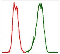 PBK / TOPK Antibody (clone 2C8)