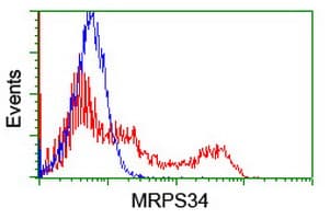 MRPS34 Antibody (clone OTI4C4)