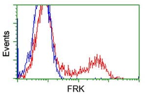 FRK Antibody (clone OTI7H3)