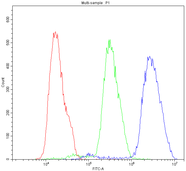 BID Antibody (aa1-195)