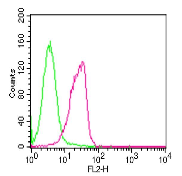 Monoclonal Mouse anti-Human PMAIP1 / NOXA Antibody (clone ABM16G6, WB)