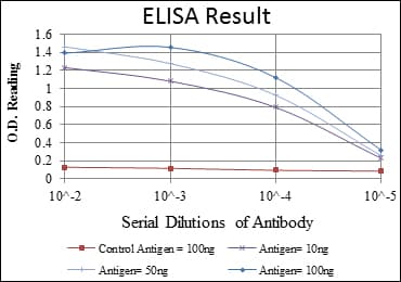 CDK5 Antibody (clone 4E4)
