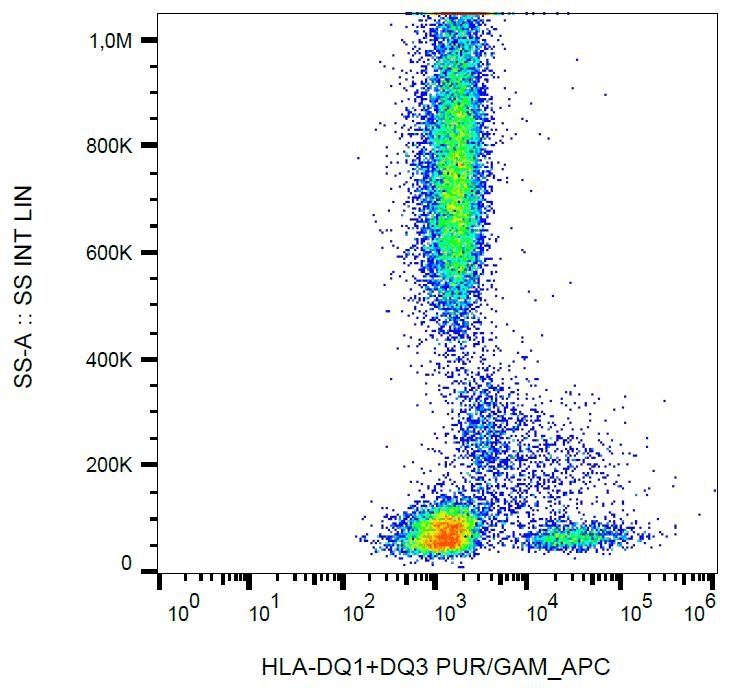 HLA-DQ1/DQ3 Antibody (clone HL-37)