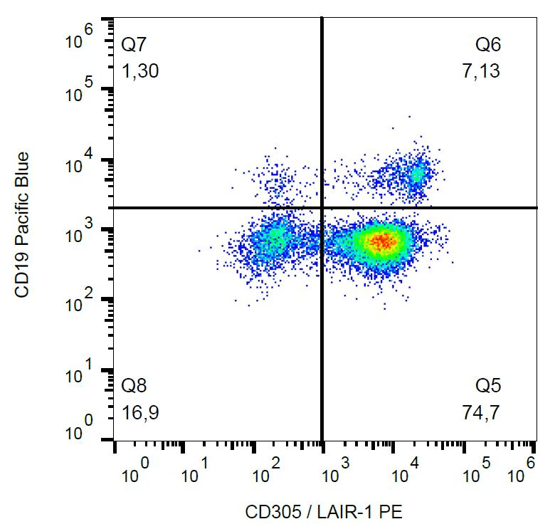 Monoclonal Mouse anti-Human LAIR1 / CD305 Antibody (clone NKTA255, PE, WB)