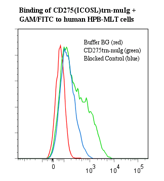 Human CD275 / B7-H2 / ICOS Ligand Protein (Recombinant)