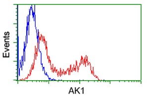 AK1 / Adenylate Kinase 1 Antibody (clone OTI8A1)