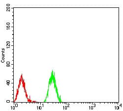 Monoclonal Mouse anti-Human HIST2H3C Antibody (clone 6E7A9, IHC, WB)