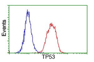 TP53 / p53 Antibody (clone OTI2C4)