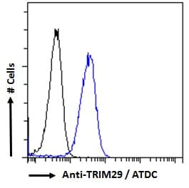 IHC-plus™ TRIM29 Antibody (aa295-306)