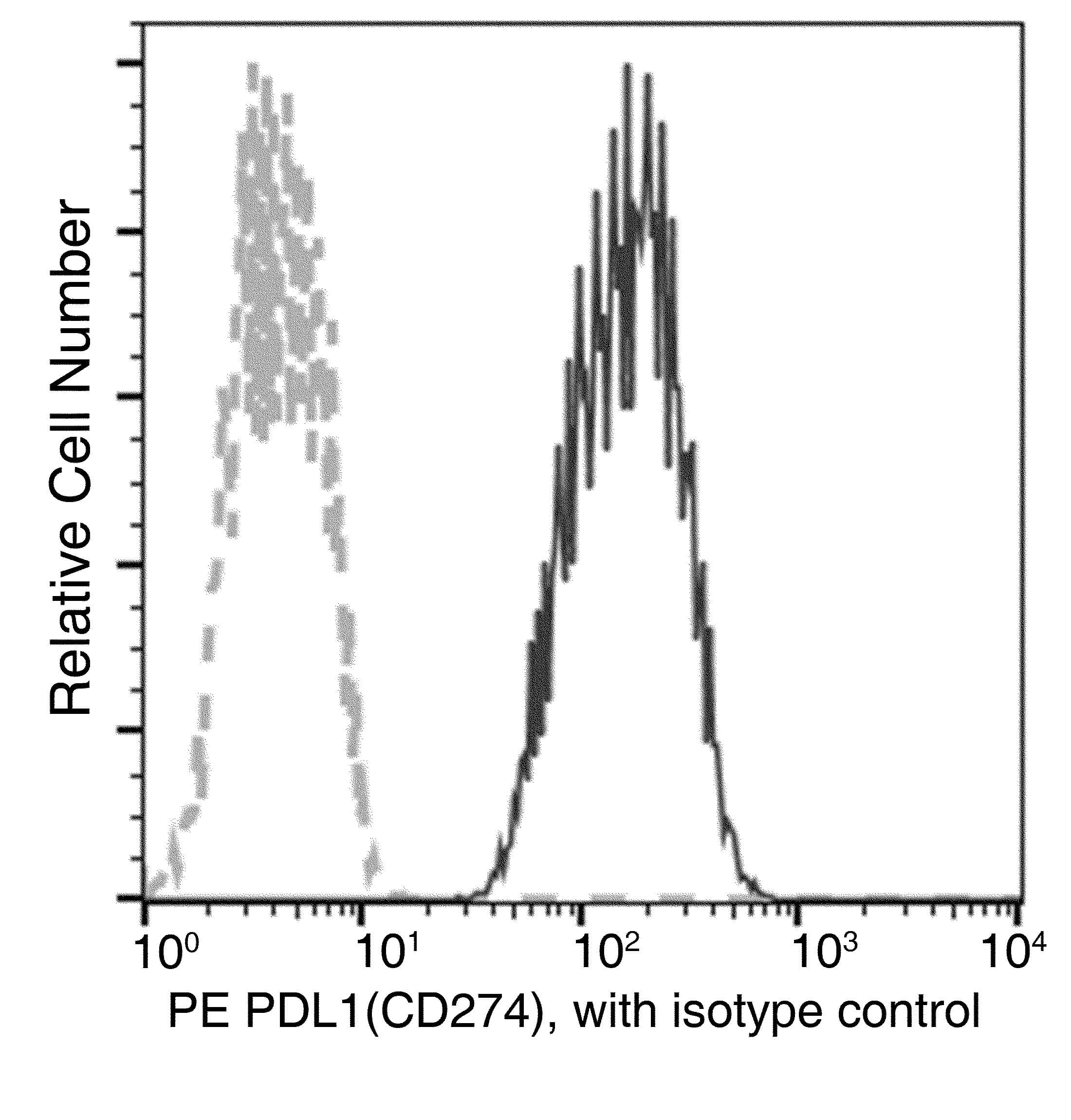 Monoclonal Rabbit anti-Human CD274 / B7-H1 / PD-L1 Antibody (clone 312, PE)