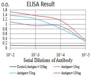 GRM7 / MGLUR7 Antibody (clone 7G8A2)