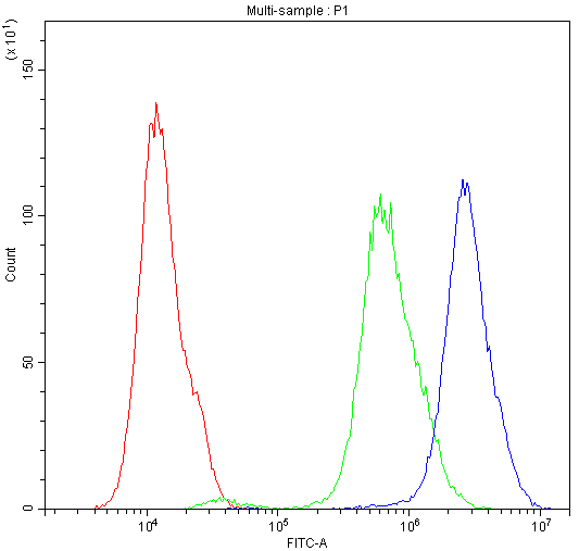 ARSA / Arylsulfatase A Antibody (aa454-482)