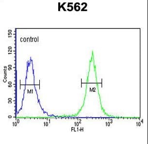 ACSM1 Antibody (aa21-48)
