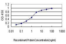 IHC-plus™ ARID3A / DRIL1 Antibody (clone 1A11)