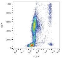 Monoclonal Mouse anti-Human CCR3 Antibody (clone 5E8, PE)