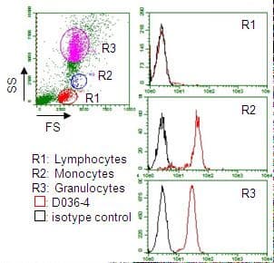 CD157 Antibody (clone RF3, FITC)