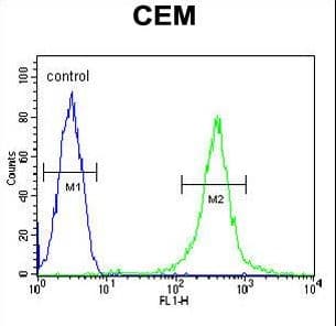 Polyclonal Rabbit anti-Human AMY2B Antibody (aa74-100, IHC, IF, WB)