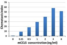 Mouse CCL5 / RANTES Protein (Recombinant)
