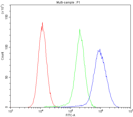 ABCB4 / MDR3 Antibody (aa601-720)