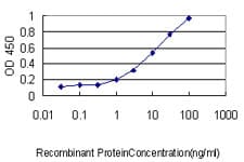RAB4A / RAB4 Antibody (clone 1C10)