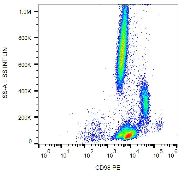 Monoclonal Mouse anti-Human CD98 Antibody (clone MEM-108, PE, IHC)