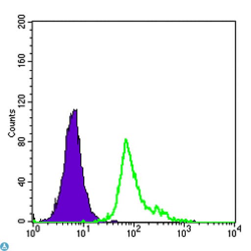 CD105 Antibody