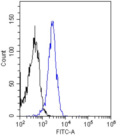 INSR / Insulin Receptor Antibody (Insulin Receptor alpha, clone 83-14)