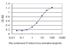 Monoclonal Mouse anti-Human FGL1 / Hepassocin Antibody (clone 2A4, WB)