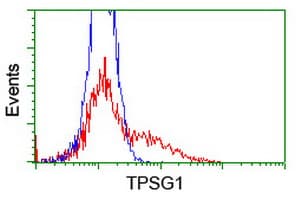TPSG1 / Tryptase Gamma 1 Antibody (clone OTI1E6)